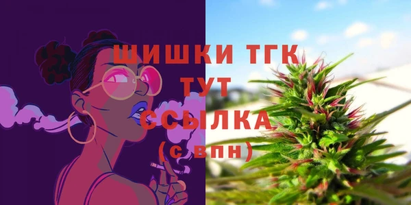 a pvp Бородино