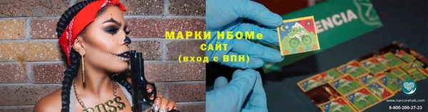 a pvp Бородино