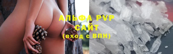 a pvp Бородино