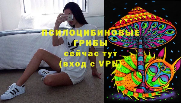 a pvp Бородино
